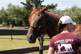 LR-WRF 08022025-Retreat-3081